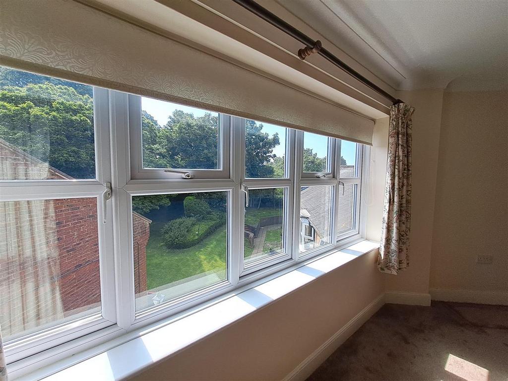 New window view.jpg