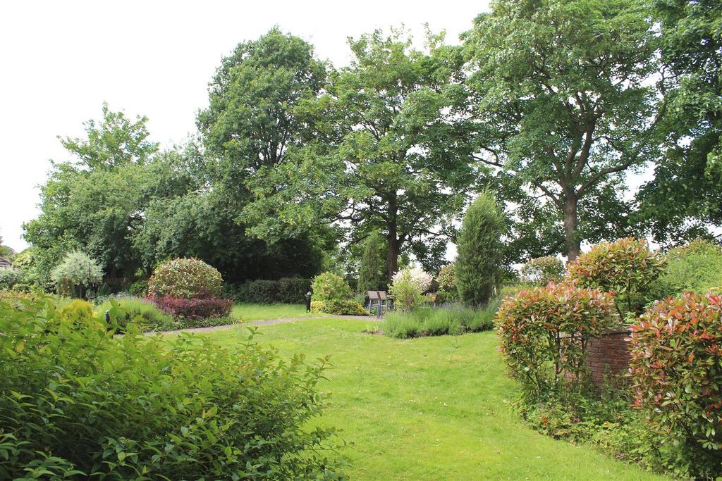View from patio