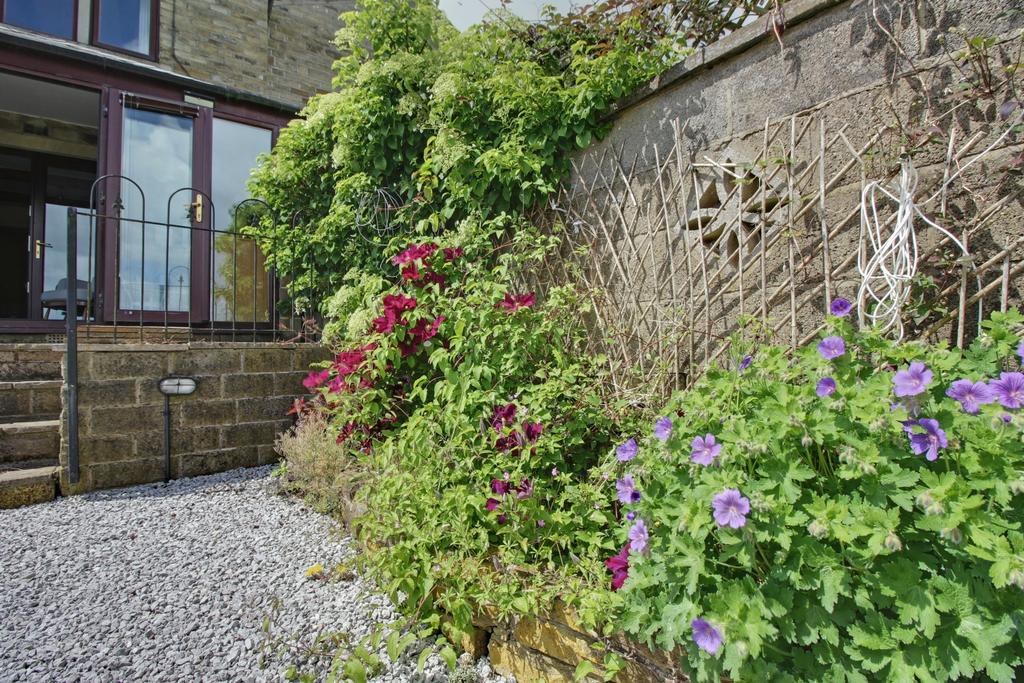 Back Garden