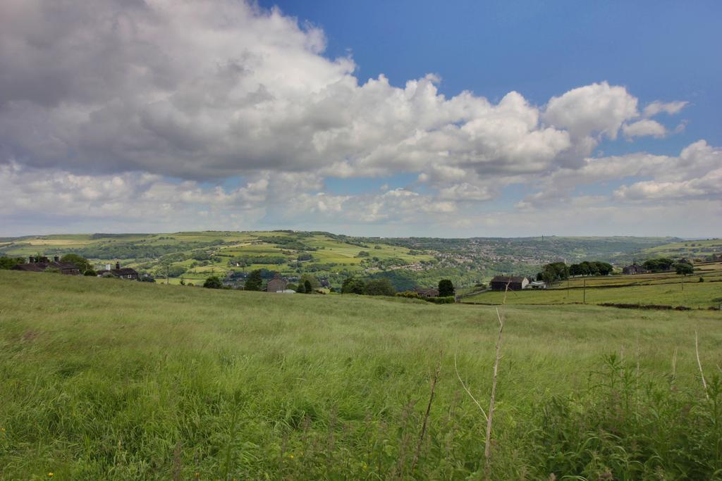 View from Back Garden