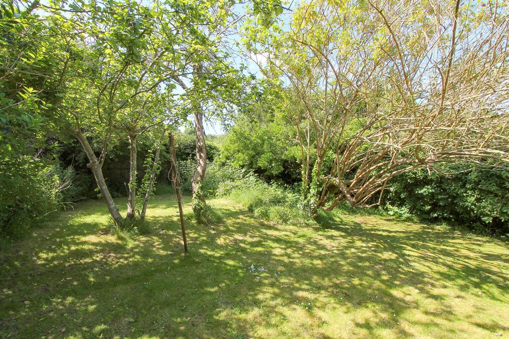 Garden c.jpg