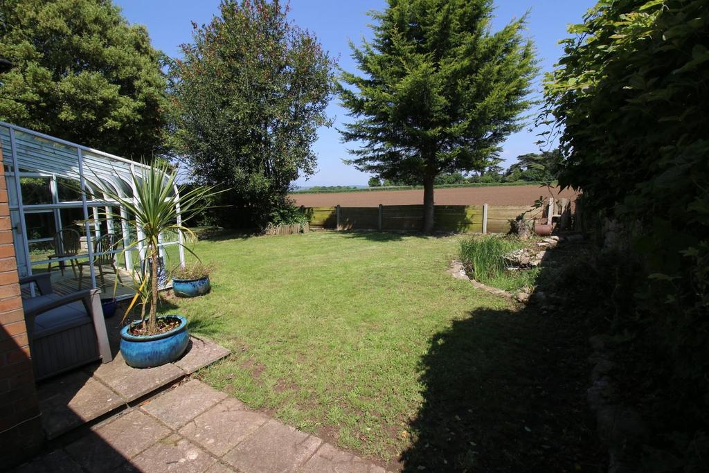 2 - garden.JPG