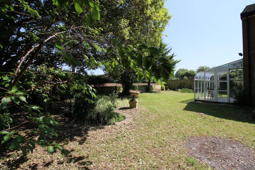 14 - garden.JPG