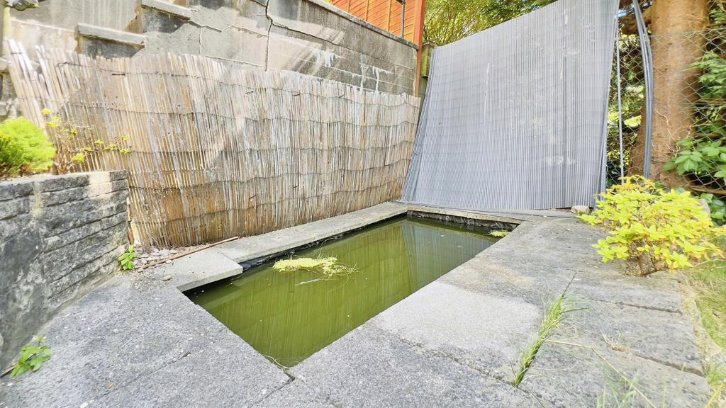 Pond