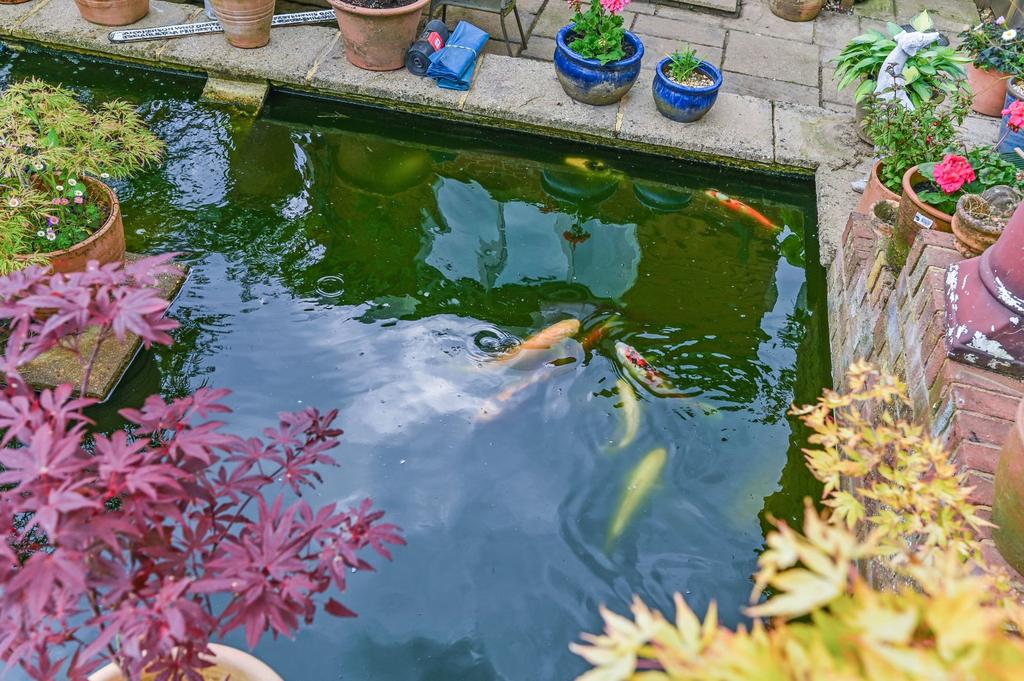 Ponds