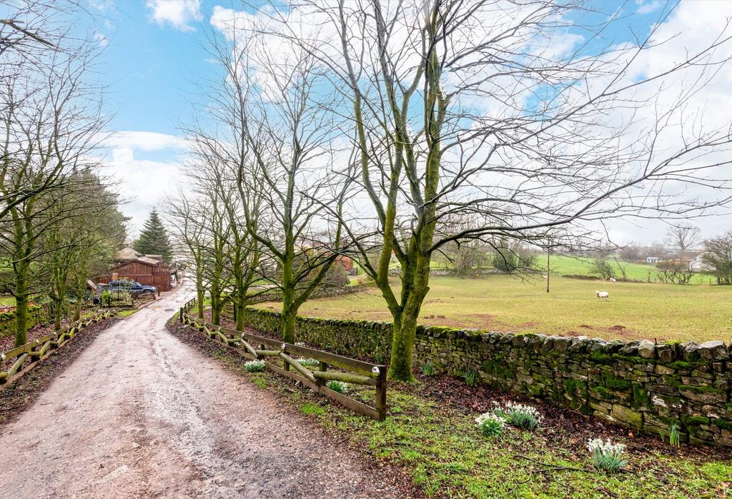 Paddock and Driveway