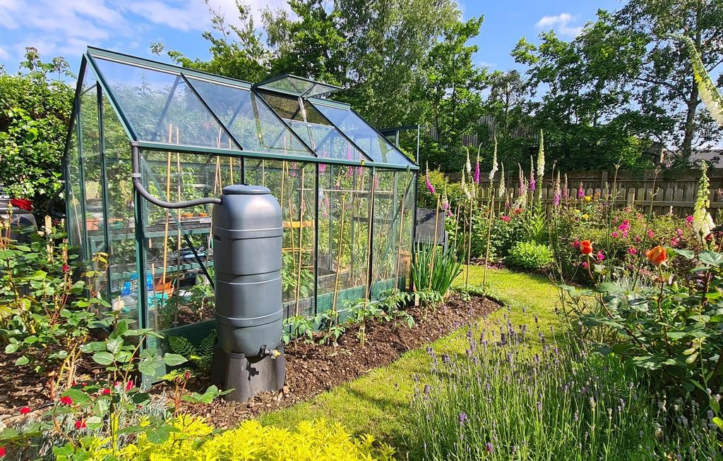 Greenhouse