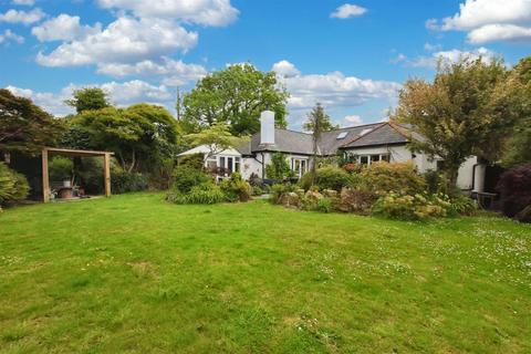 Dracaena Burnwithian, St Day, Redruth, TR16 5LG