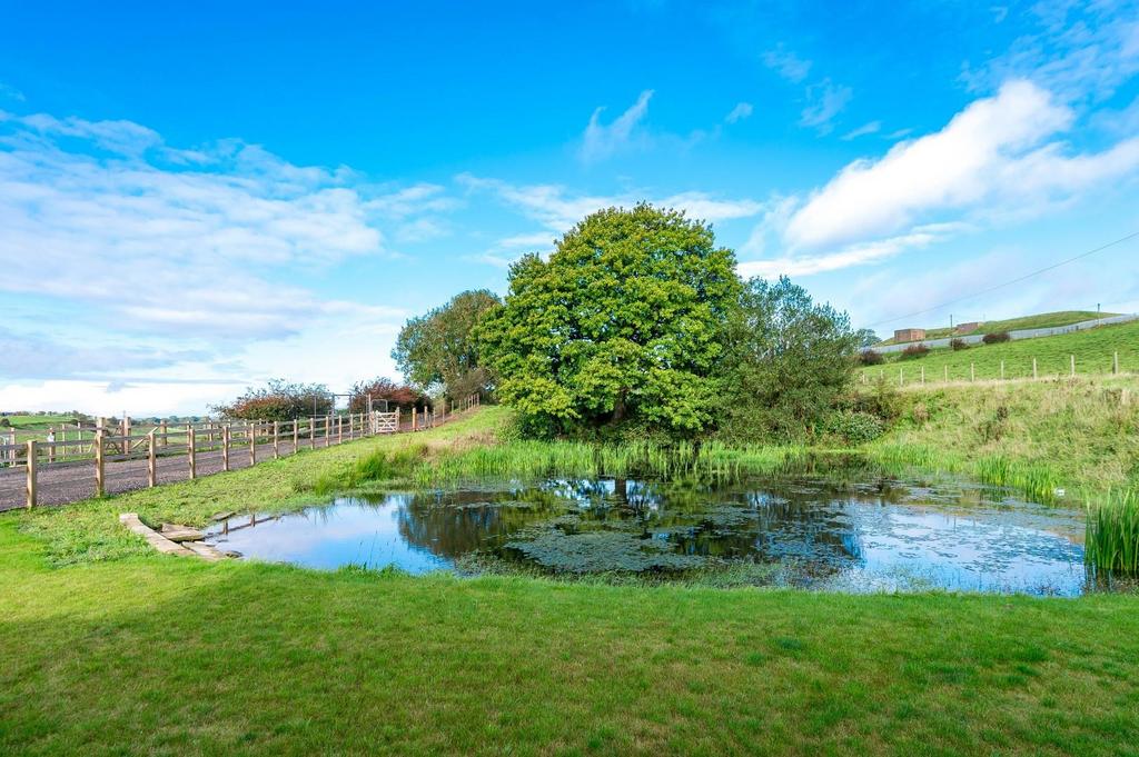 Garden &amp; Pond