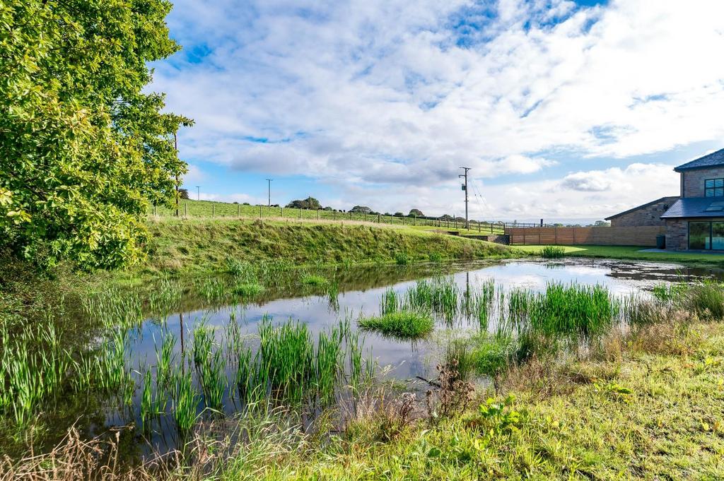 Garden &amp; Pond