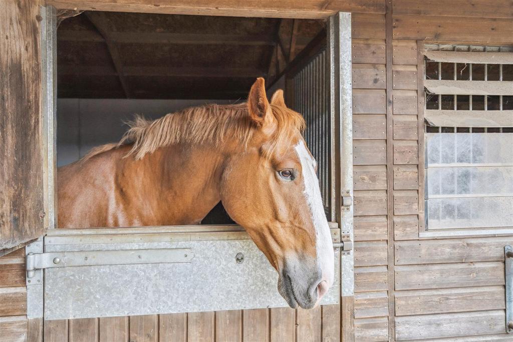 Stables