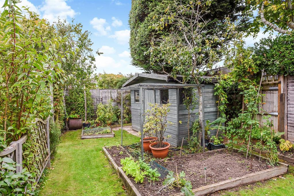 Vegetable Patch