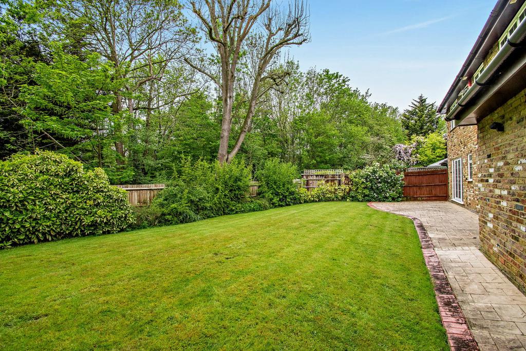 Garden view, garden