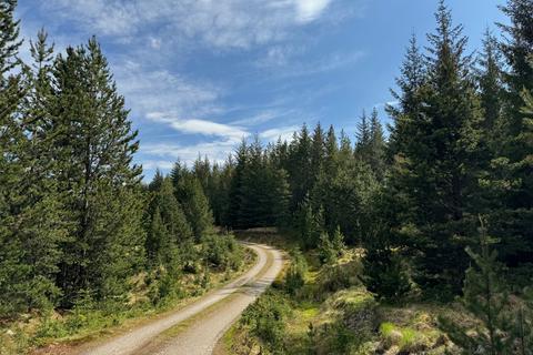 undefined, Coille Oisinn Forest, Scotland IV27