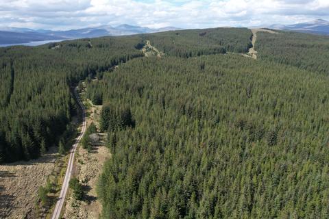 undefined, Coille Oisinn Forest, Scotland IV27