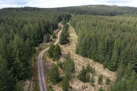 undefined, Coille Oisinn Forest, Scotland IV27