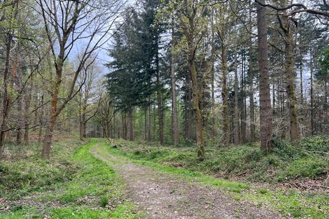 Woodland for sale, Cleobury Coppice, Cleobury Mortimer, Shropshire DY14