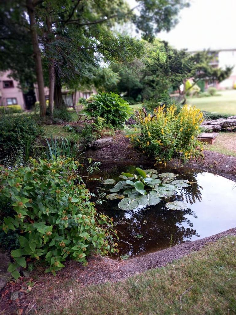 Photo 16