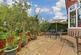 Patio / Decking