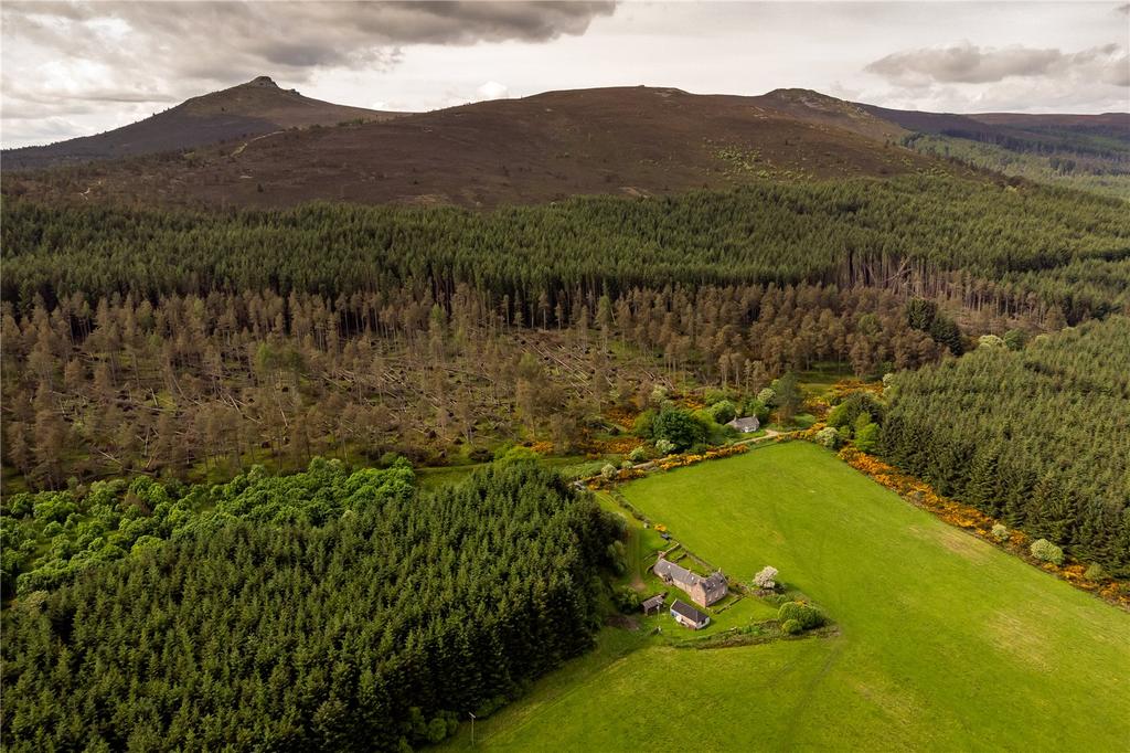 Drone Image