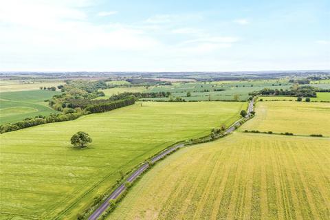 Land for sale, Land At Newton Red House Farm, Mitford, Morpeth, Northumberland, NE61