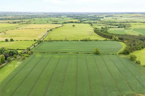 Land for sale, Land At Newton Red House Farm, Mitford, Morpeth, Northumberland, NE61