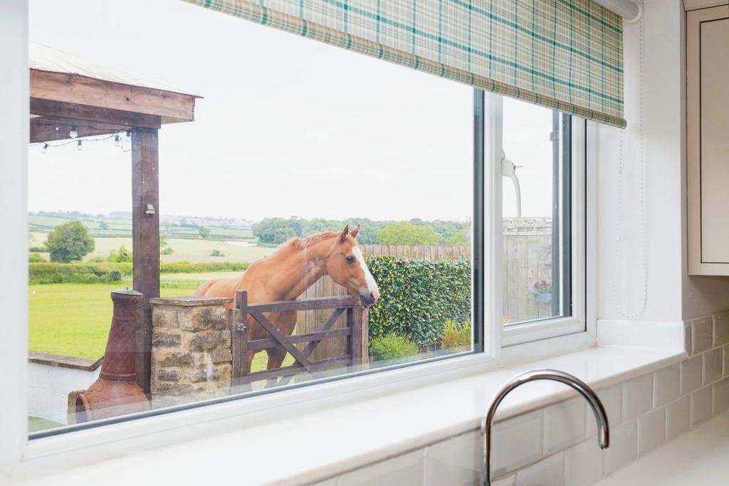 View from kitchen