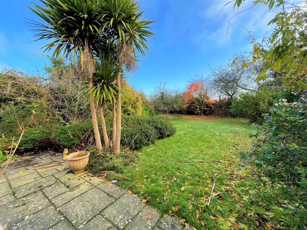 Rear garden.jpg