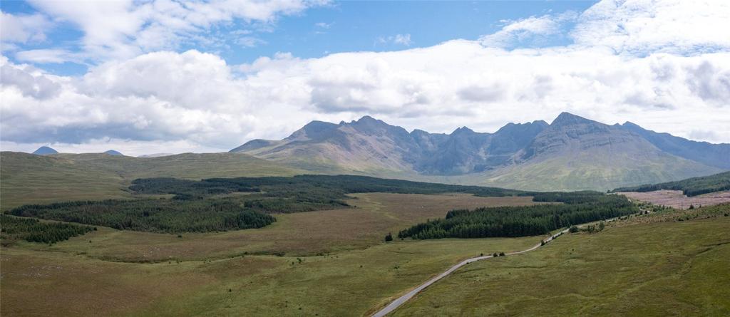 Loch Moineach Forest