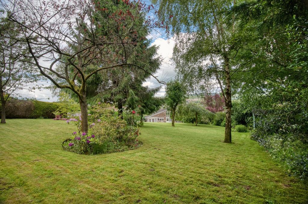 Rear Garden - trees and lawn.jpg