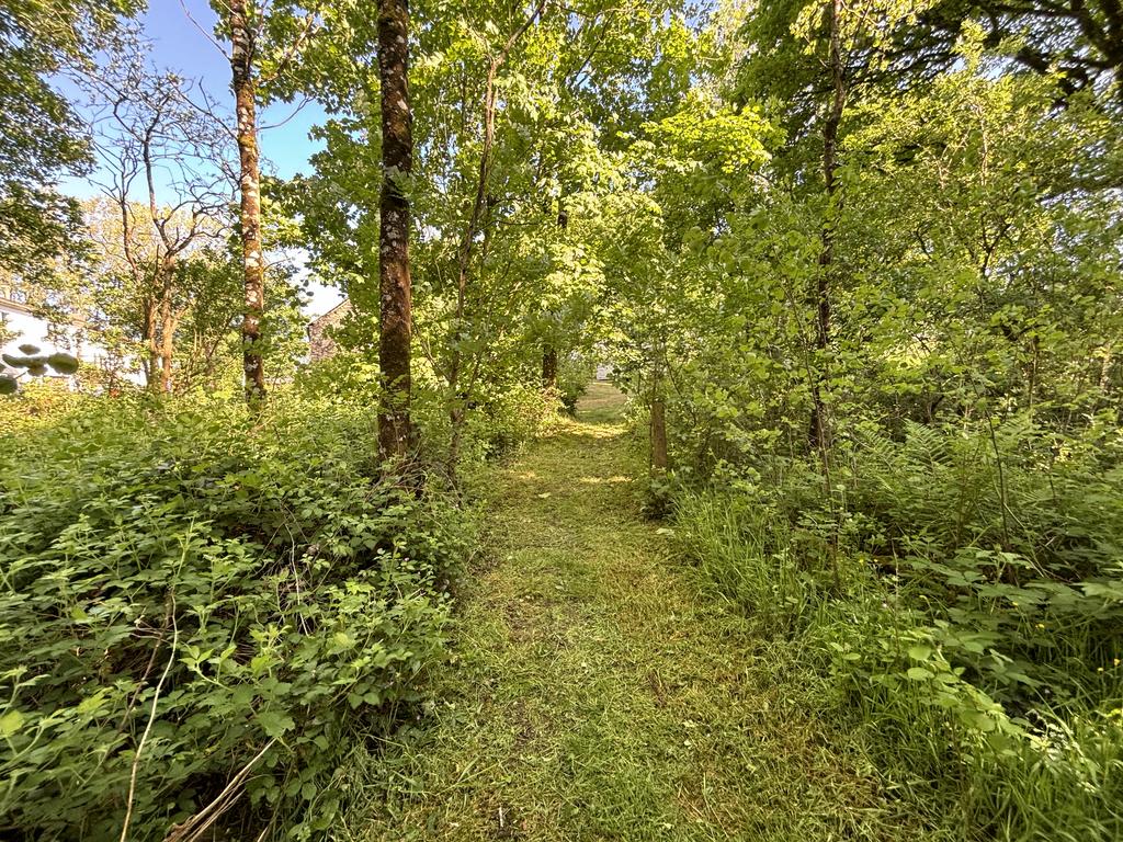 Native wooded area