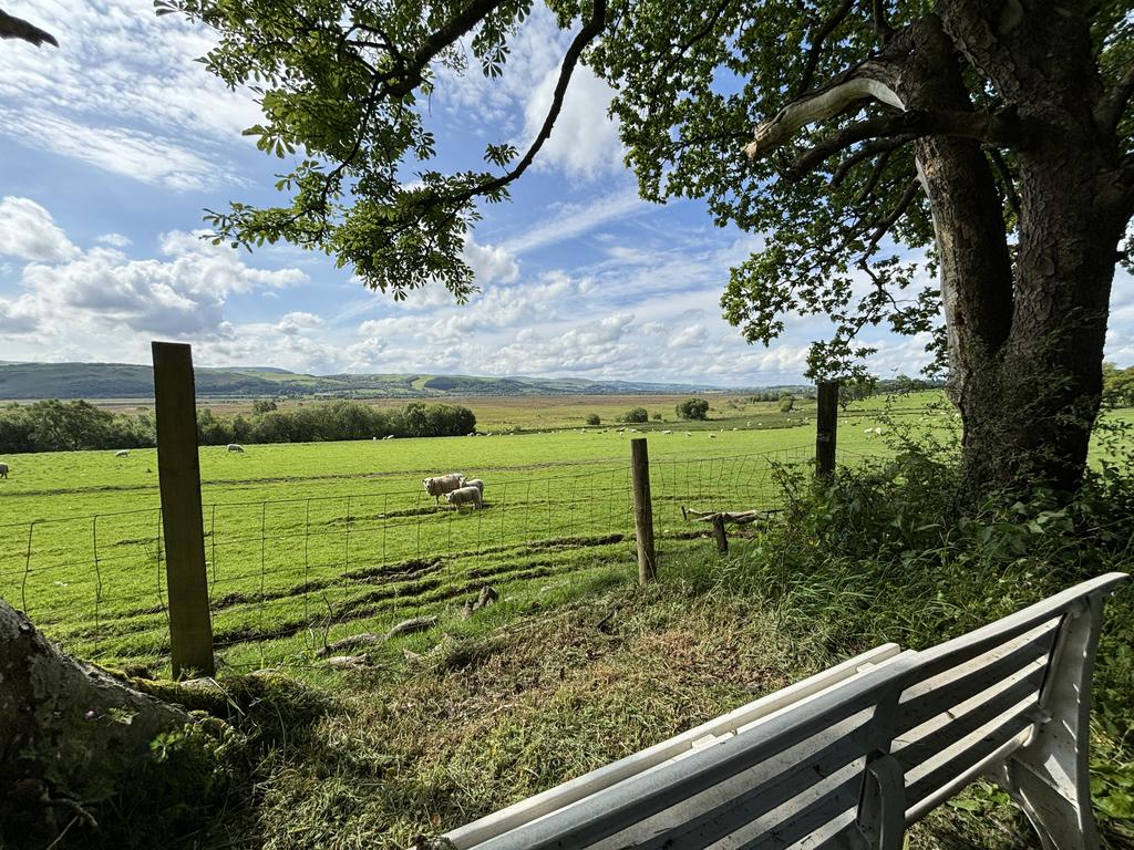 View of the nature reserve