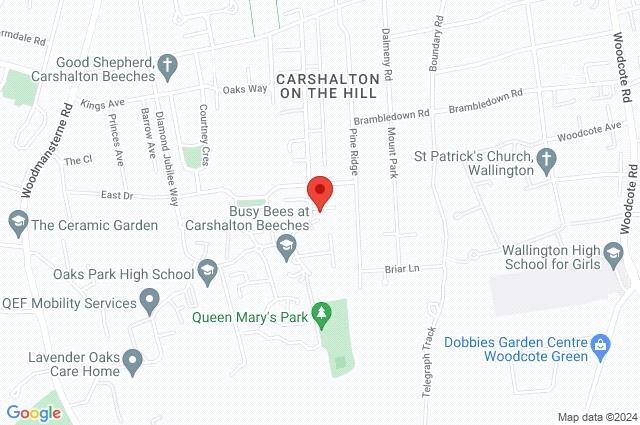 Google Maps Image