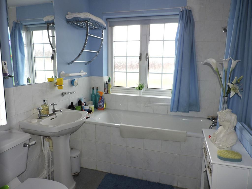 Photograph 21