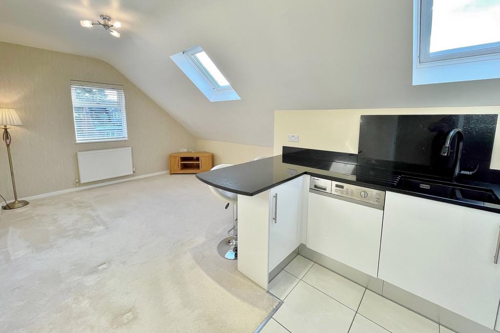 Kitchen/Living Area