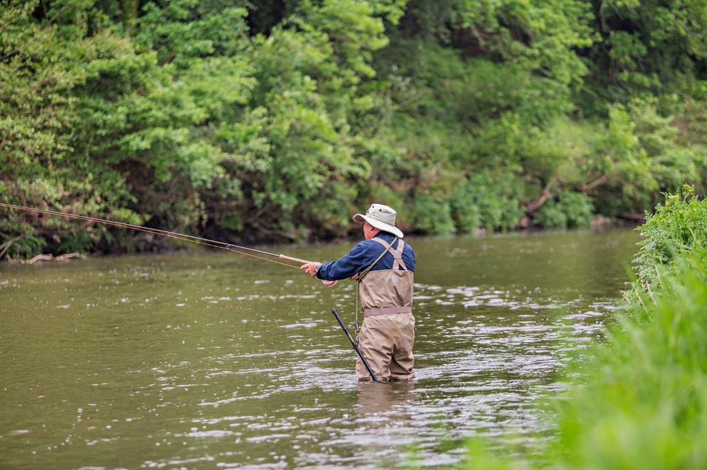 The Fishing