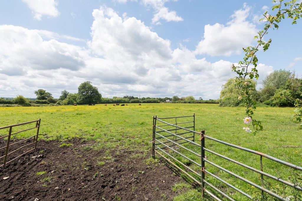 Back Field