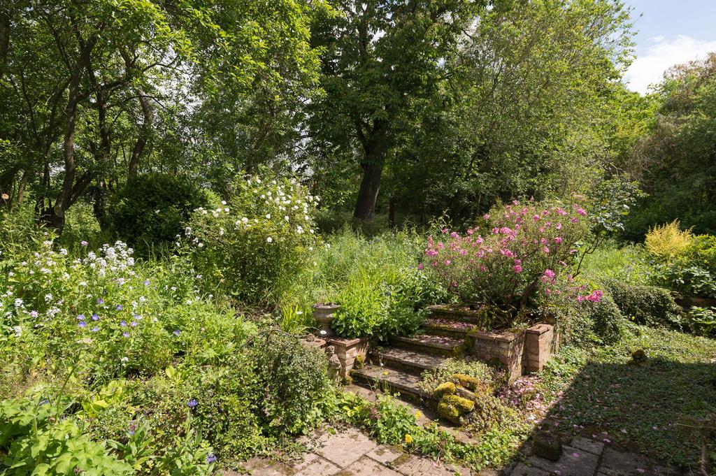 Back Garden
