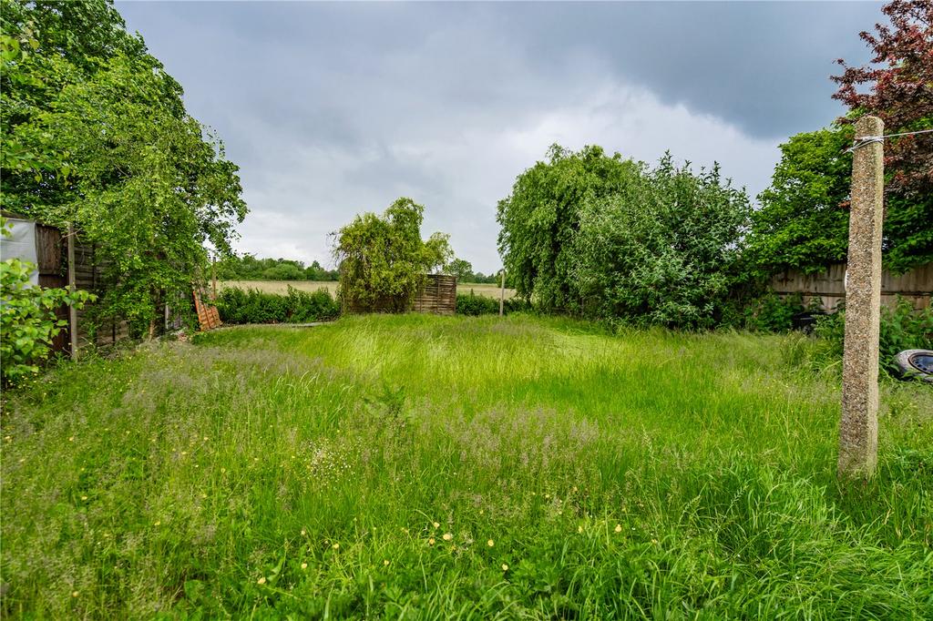 Garden (3)