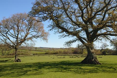 Land for sale, The Pastures, Bratton Clovelly, Okehampton