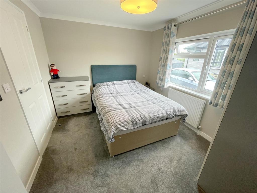 IMG 8145.jpeg