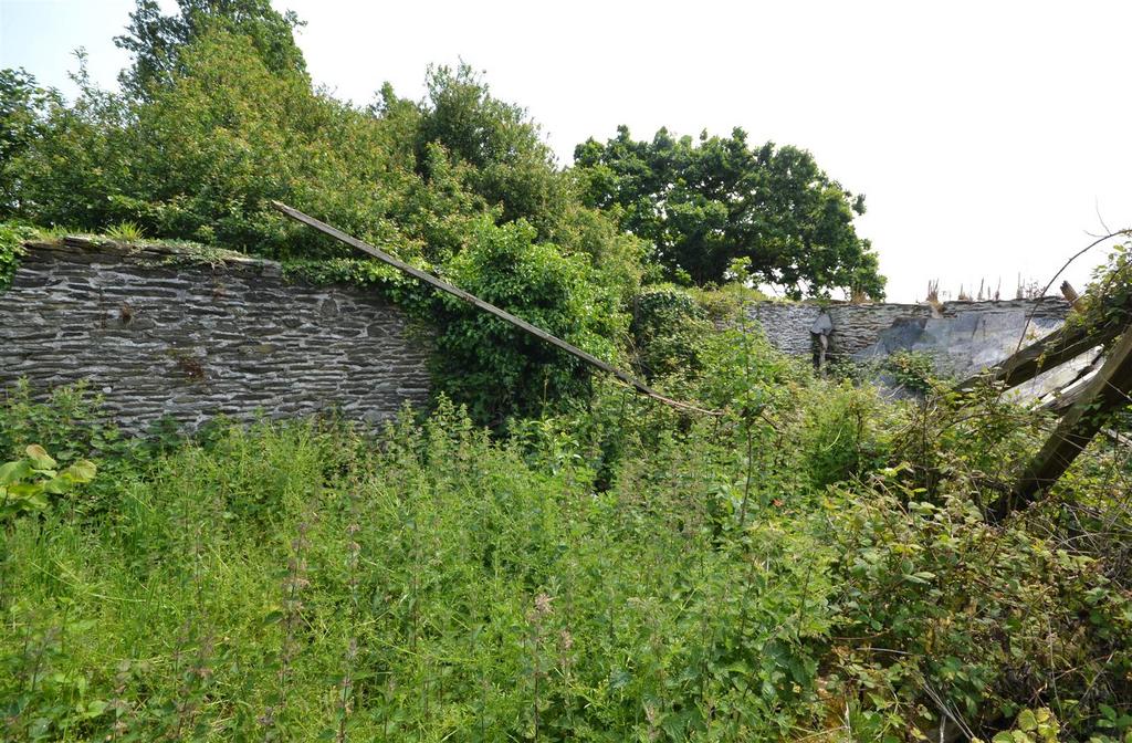 Dsc 0336.jpg