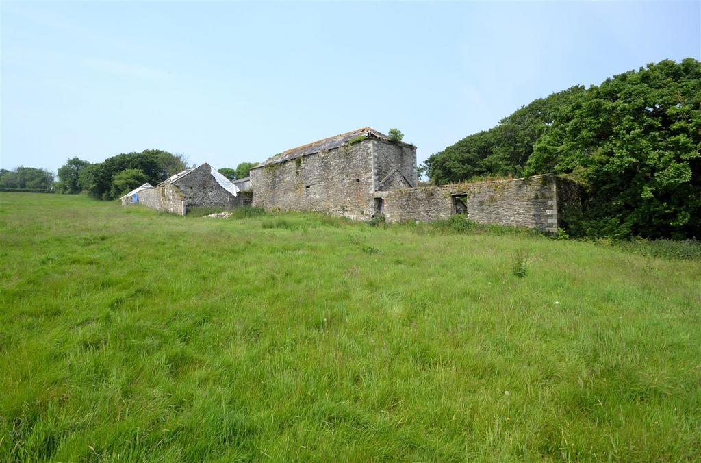 Dsc 0371.jpg