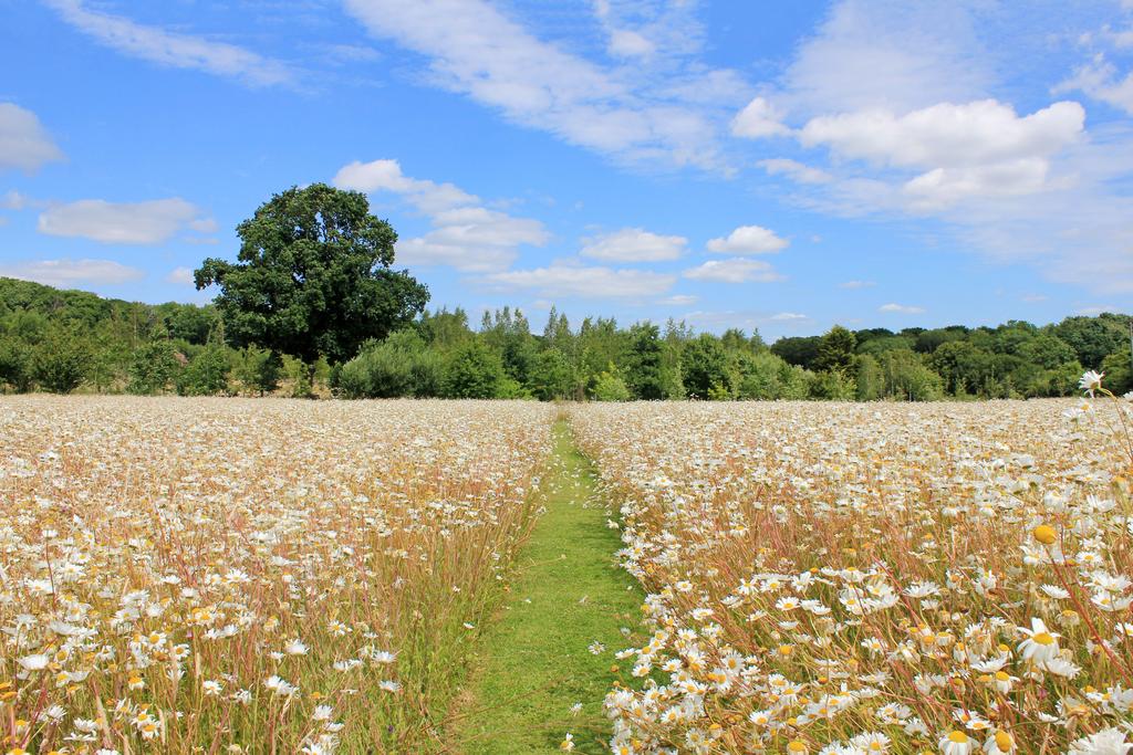 Nearby walks in Clayton