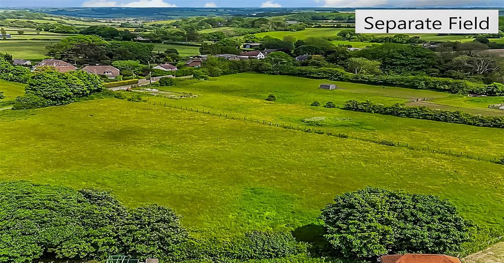 Separate Field Aerial View