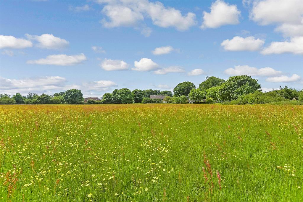 View Of Separate Field