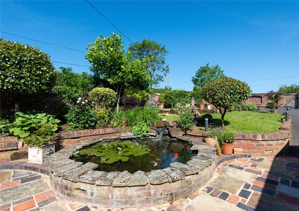 Pond