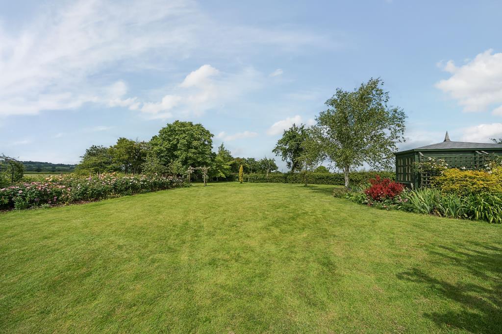 Part of Garden