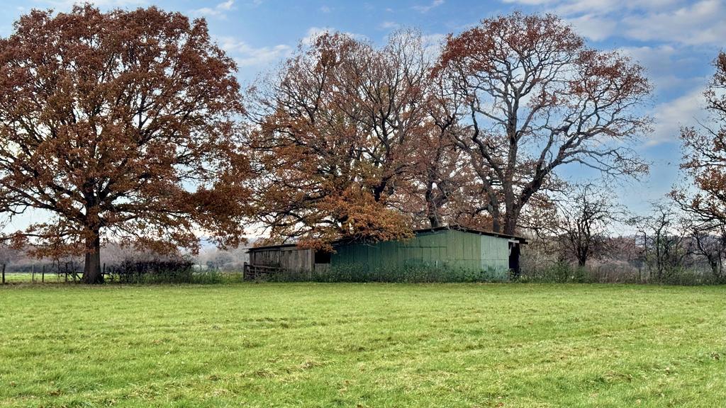 Branford Barn and land for sale.