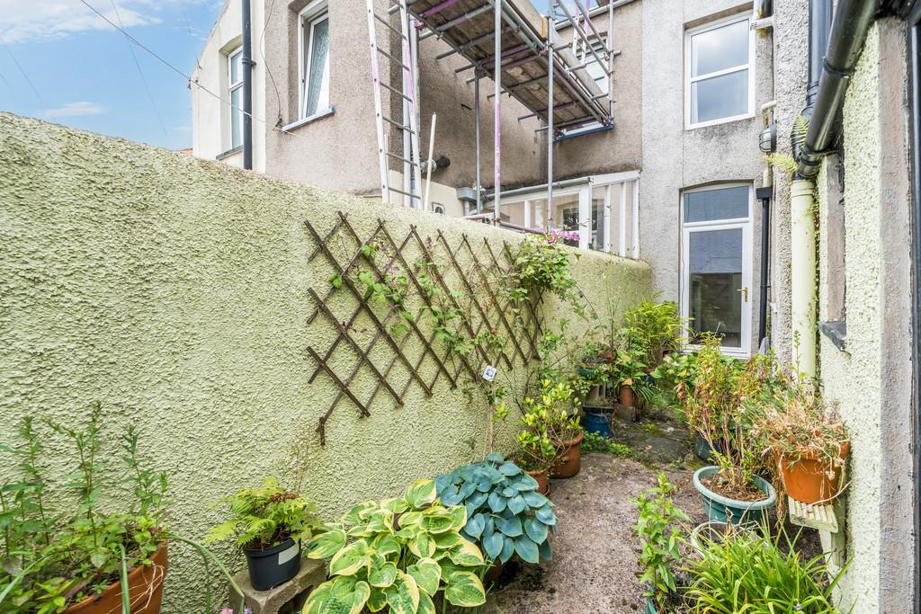 Rear Yard